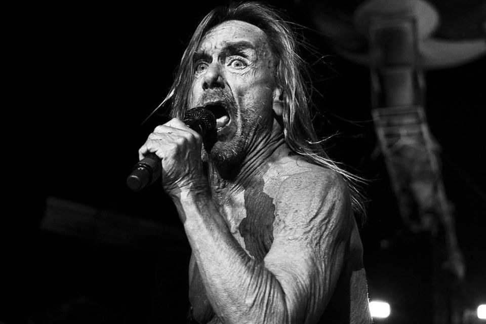 Iggy Pop a setenta y cuatro años de vida