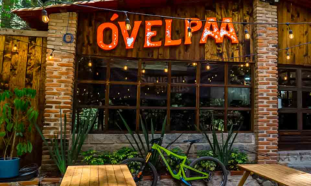 Conoce “Óvelpaa”: Un restaurante escondido en el corazón de un bosque 