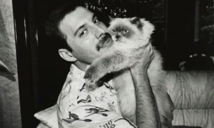 La millonaria herencia de Freddie Mercury
