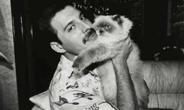 La millonaria herencia de Freddie Mercury