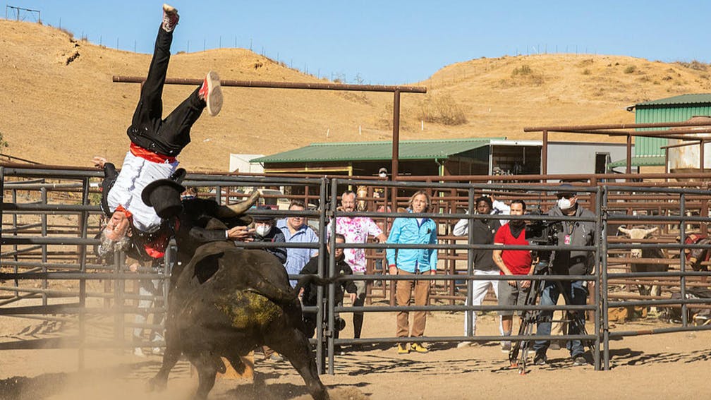 Jackass Forever primeras imágenes oficiales