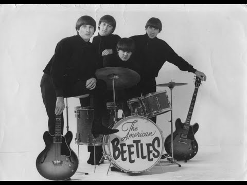 The_American_Beetles