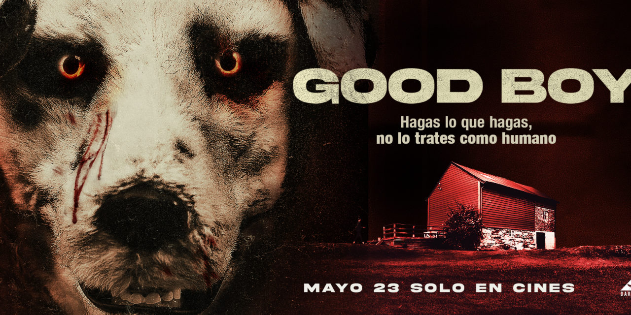 Good Boy: Hagas lo que hagas no lo trates como humano